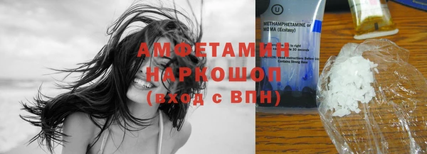 стаф Осинники