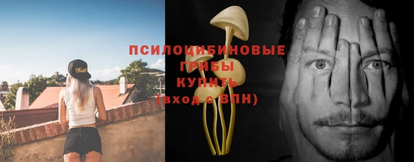 трава Краснослободск
