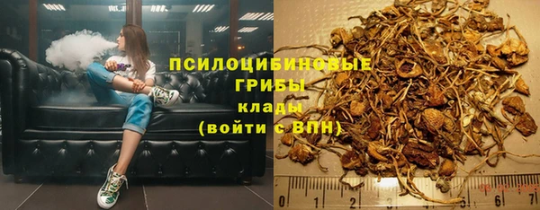 трава Краснослободск