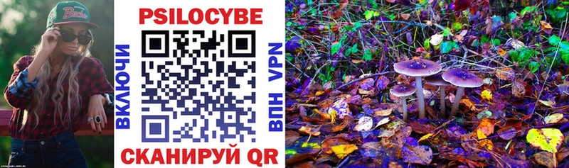 Галлюциногенные грибы мухоморы  где найти наркотики  Талдом 